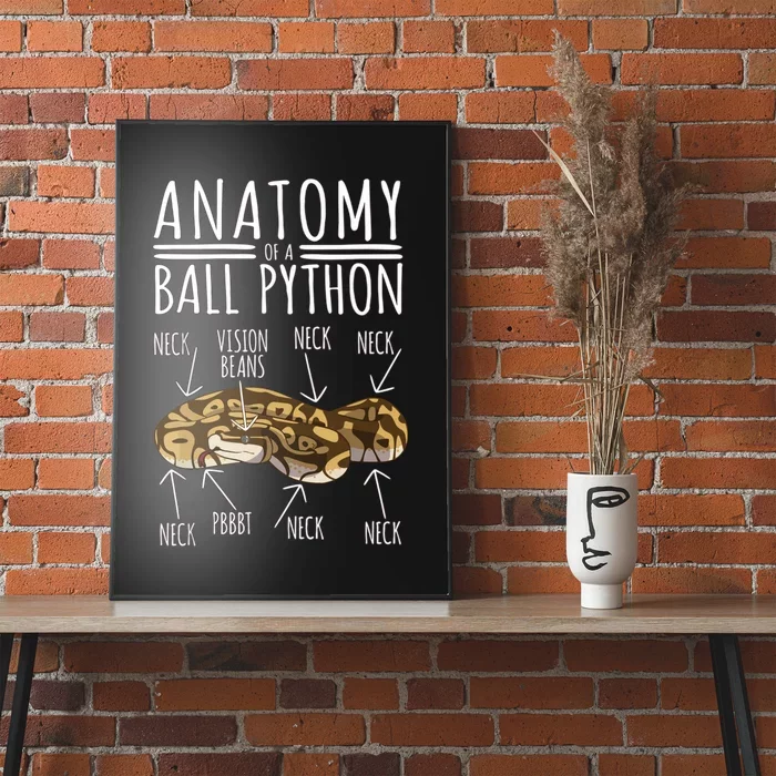 Python Snake Owner Anatomy Of A Ball Python Poster