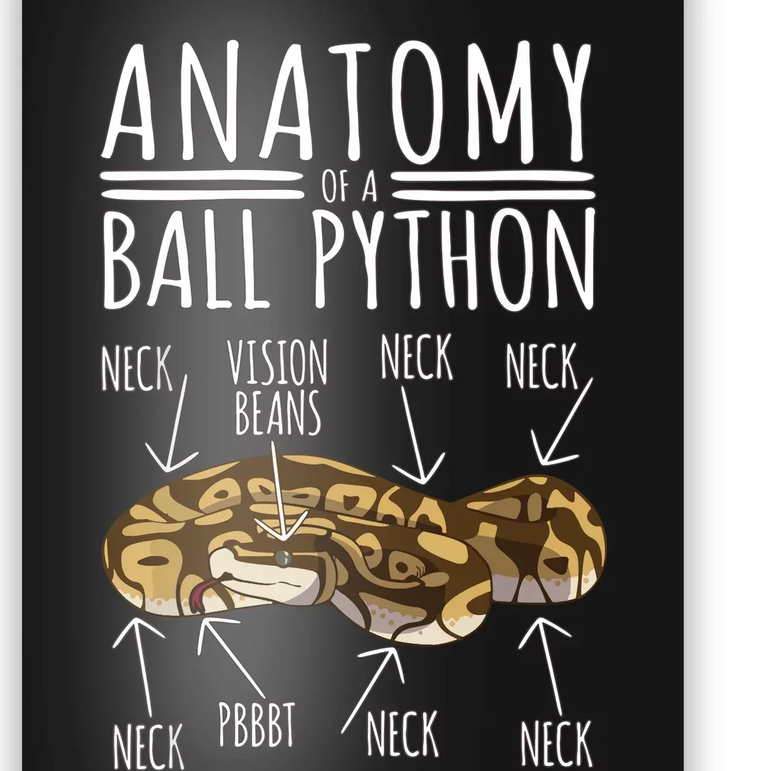 Python Snake Owner Anatomy Of A Ball Python Poster