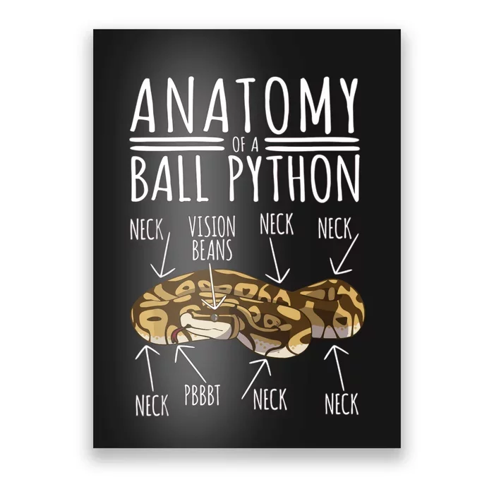 Python Snake Owner Anatomy Of A Ball Python Poster