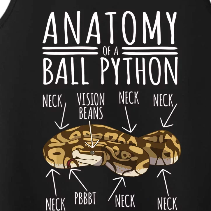 Python Snake Owner Anatomy Of A Ball Python Performance Tank