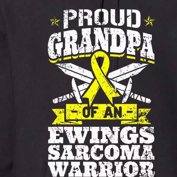 Proud Sister Of A Hodgkins Lymphoma Warrior HL Awareness Premium Hoodie