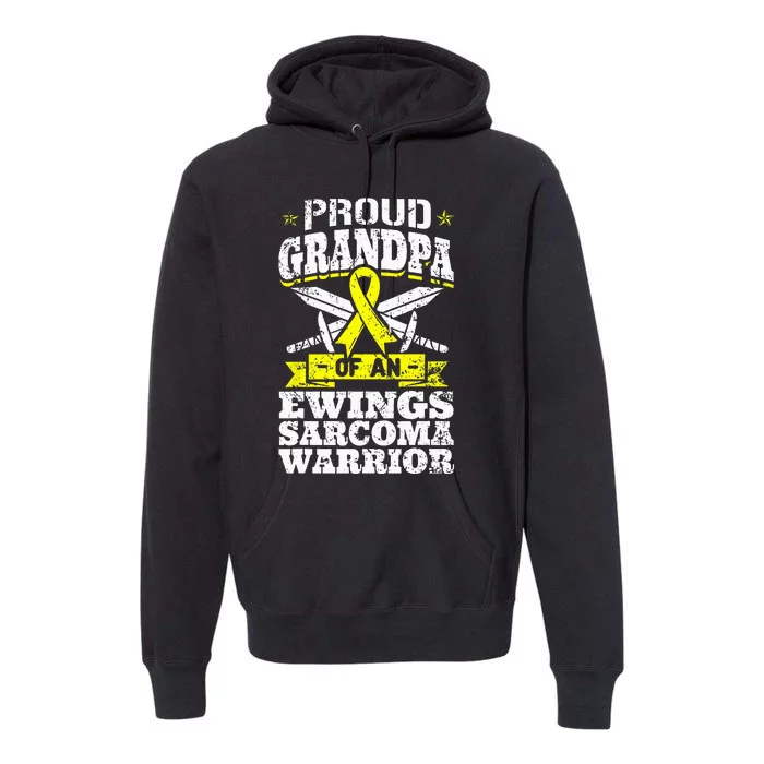 Proud Sister Of A Hodgkins Lymphoma Warrior HL Awareness Premium Hoodie