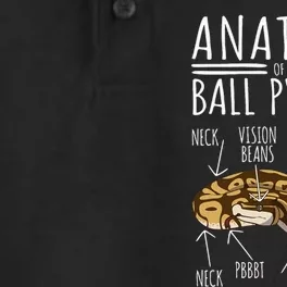 Python Snake Owner Anatomy Of A Ball Python Dry Zone Grid Performance Polo