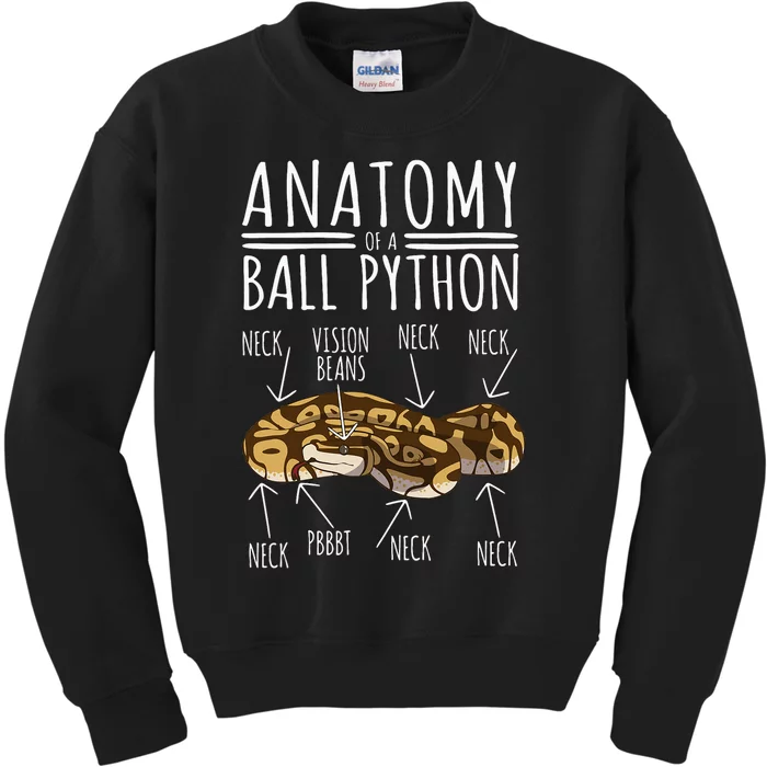 Python Snake Owner Anatomy Of A Ball Python Kids Sweatshirt