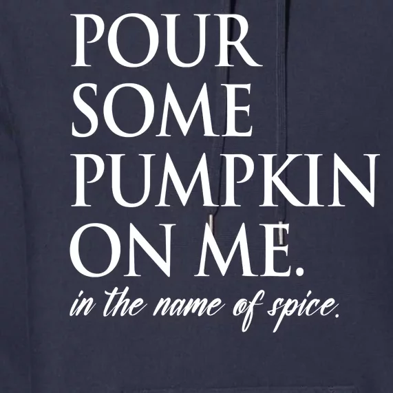 Pour Some Pumpkin On Me In The Name Of Spice Funny Fall Premium Hoodie