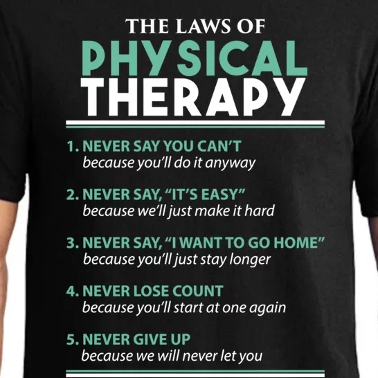 Pt School Physical Therapist The Laws Of Physical Therapy Gift Pajama Set