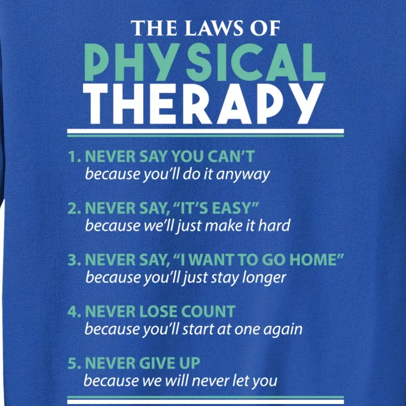 Pt School Physical Therapist The Laws Of Physical Therapy Gift Tall Sweatshirt