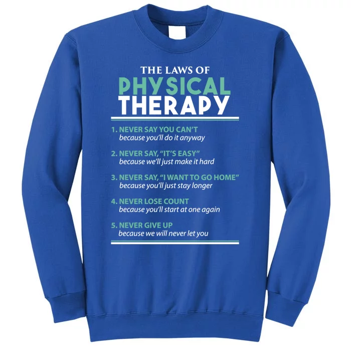 Pt School Physical Therapist The Laws Of Physical Therapy Gift Tall Sweatshirt