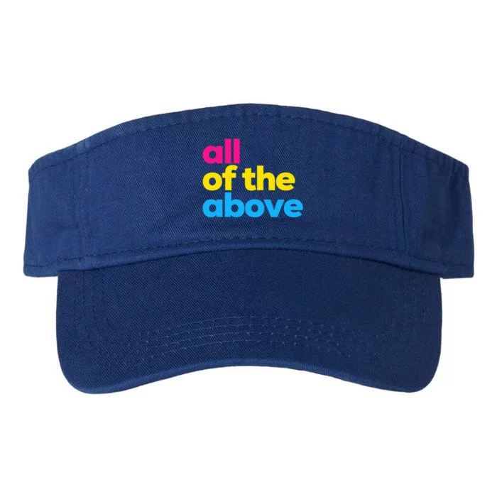 Pansexual Subtle Pan All Of The Above Lgbtq Valucap Bio-Washed Visor