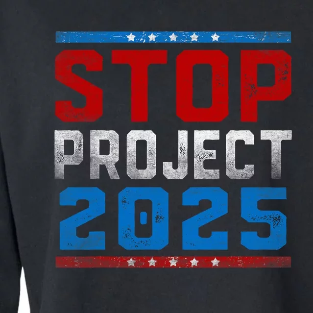 Prodemocracy Stop Project 2025 Presidential Election 2024 Cropped Pullover Crew