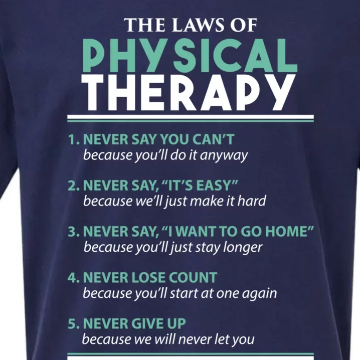 Pt School Physical Therapist The Laws Of Physical Therapy Gift Sueded Cloud Jersey T-Shirt