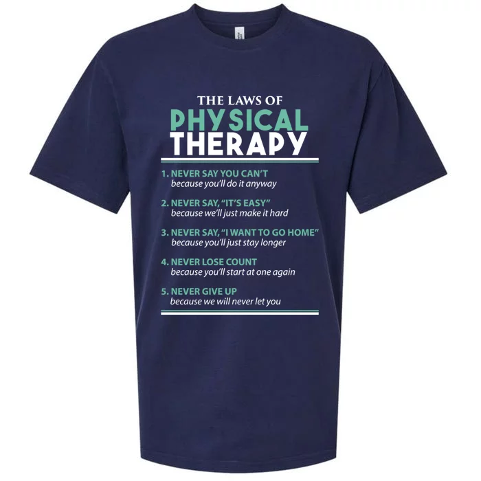 Pt School Physical Therapist The Laws Of Physical Therapy Gift Sueded Cloud Jersey T-Shirt