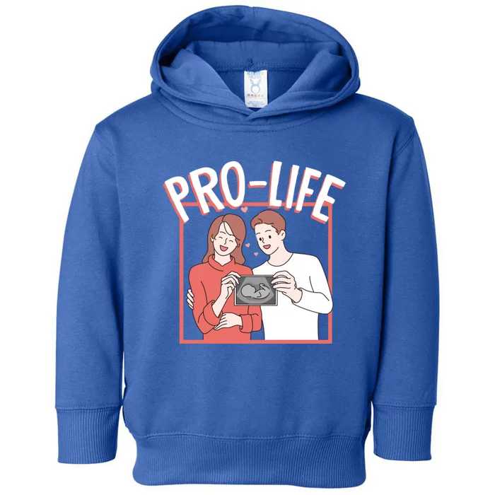 Prolife Support Rights Freedom Antiabortion Meaningful Gift Toddler Hoodie