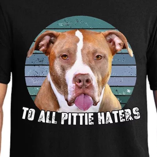 Pitbull To All Pittie Haters Retro Pitbull Dog Lover Cute Dog Pajama Set