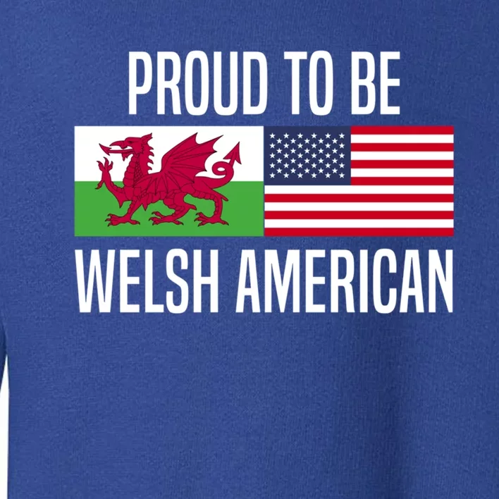 Proud To Be Welsh American Gift Toddler Sweatshirt