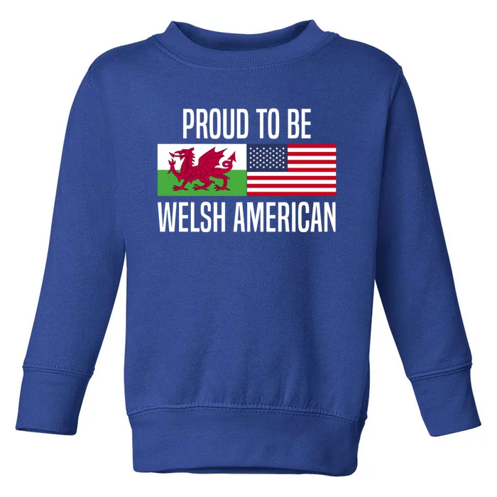 Proud To Be Welsh American Gift Toddler Sweatshirt