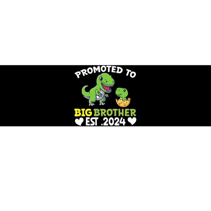 Promoted To Big Brother 2024 Big Brother 2024 Front & Back Bumper