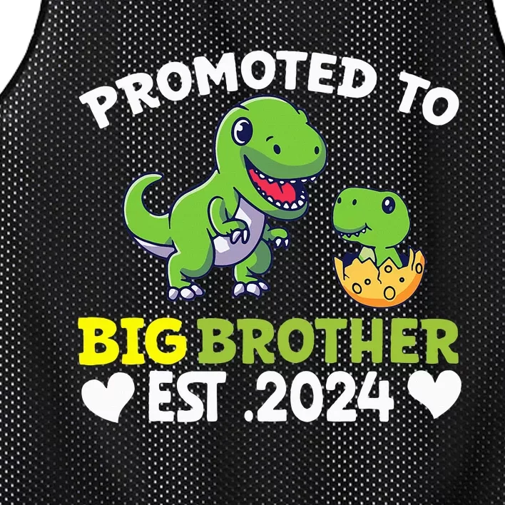 Promoted To Big Brother 2024 Big Brother 2024 Mesh Reversible Basketball Jersey Tank