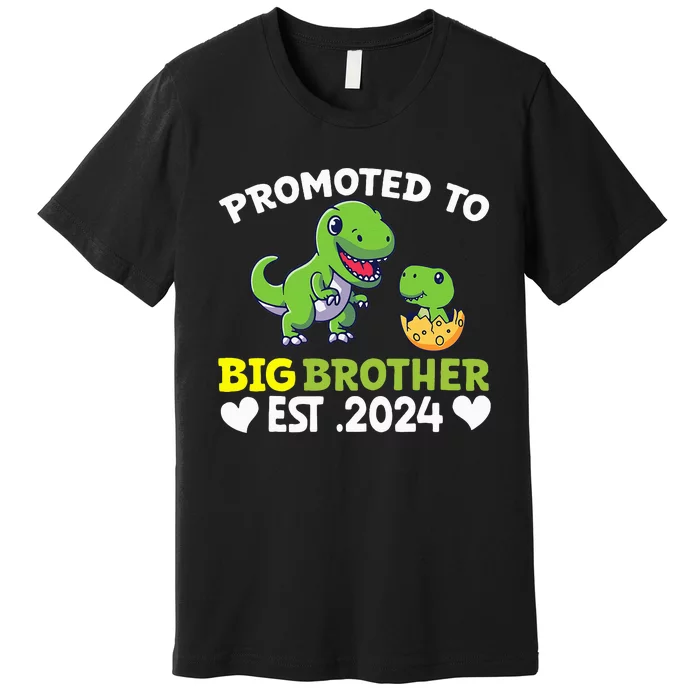 Promoted To Big Brother 2024 Big Brother 2024 Premium T-Shirt