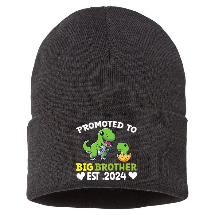 Promoted To Big Brother 2024 Big Brother 2024 Sustainable Knit Beanie