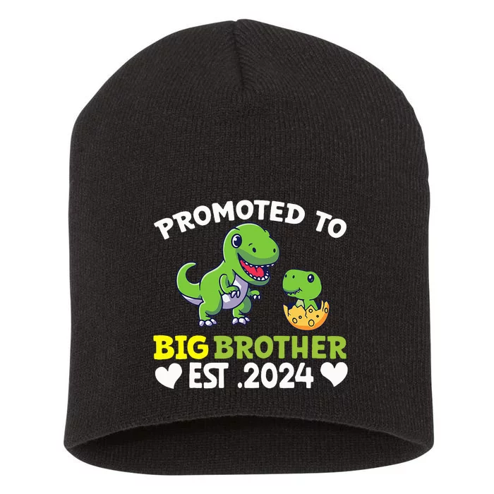 Promoted To Big Brother 2024 Big Brother 2024 Short Acrylic Beanie