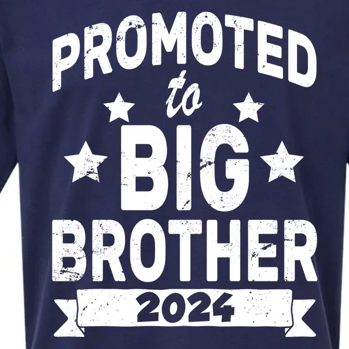 Promoted To Big Brother 2024 Sueded Cloud Jersey T-Shirt