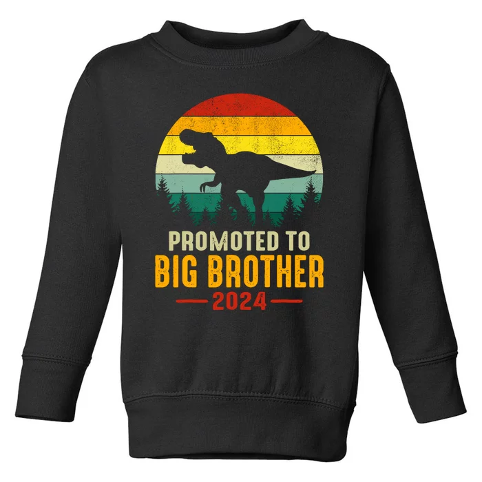 Promoted To Big Brother 2024 Dinosaur Family Matching Trex Toddler Sweatshirt