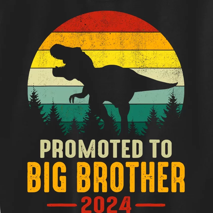 Promoted To Big Brother 2024 Dinosaur Family Matching Trex Kids Sweatshirt