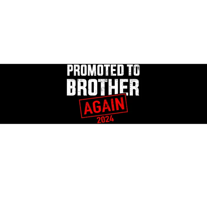 Promoted To Big Brother 2024 Again For New Baby Shower Bumper Sticker