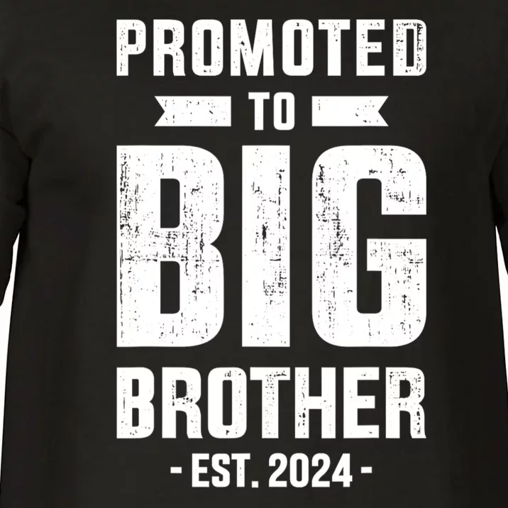 Promoted To Big Brother Est 2024 For Pregnancy Or New Baby Comfort Colors T-Shirt