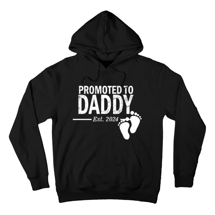 Promoted To Daddy Established 2024 New Dad Hoodie