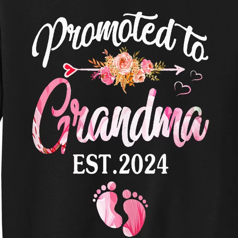 Promoted To Grandma 2024 First Time New Grandma Pregnancy Sweatshirt