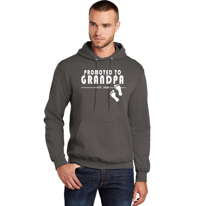 Promoted To Grandpa Established 2024 Hoodie