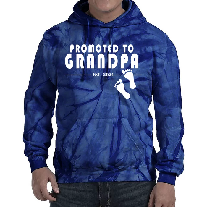 Promoted To Grandpa Established 2024 Tie Dye Hoodie