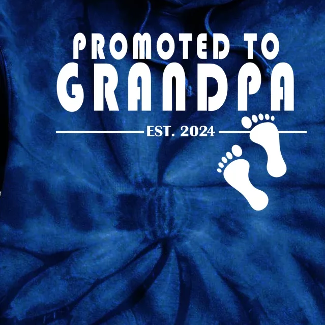 Promoted To Grandpa Established 2024 Tie Dye Hoodie