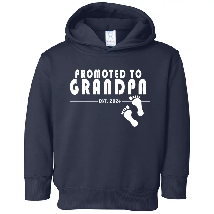 Promoted To Grandpa Established 2024 Toddler Hoodie