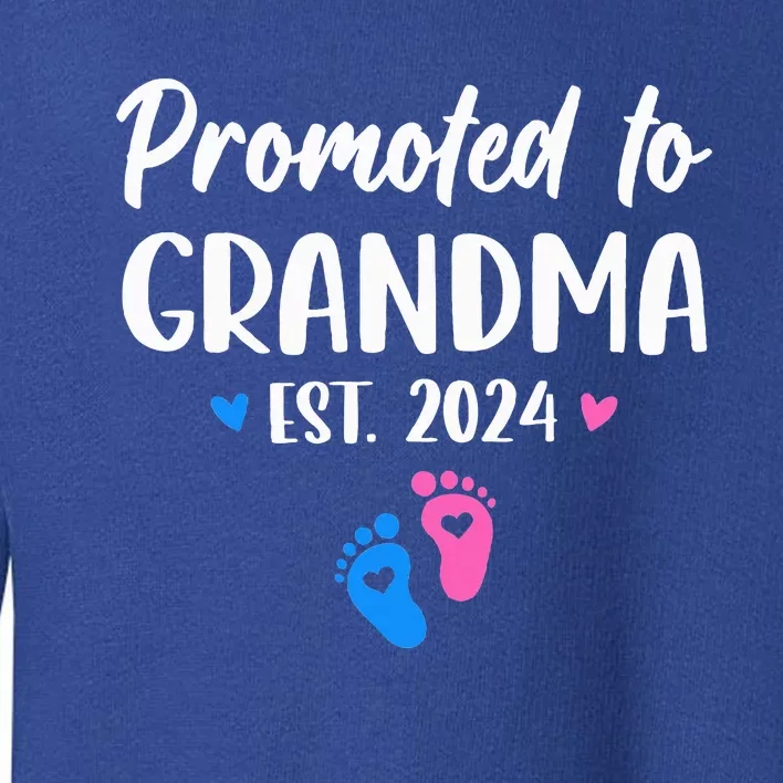 Promoted To Grandma Est 2024 New Grandma Grandmother Toddler Sweatshirt