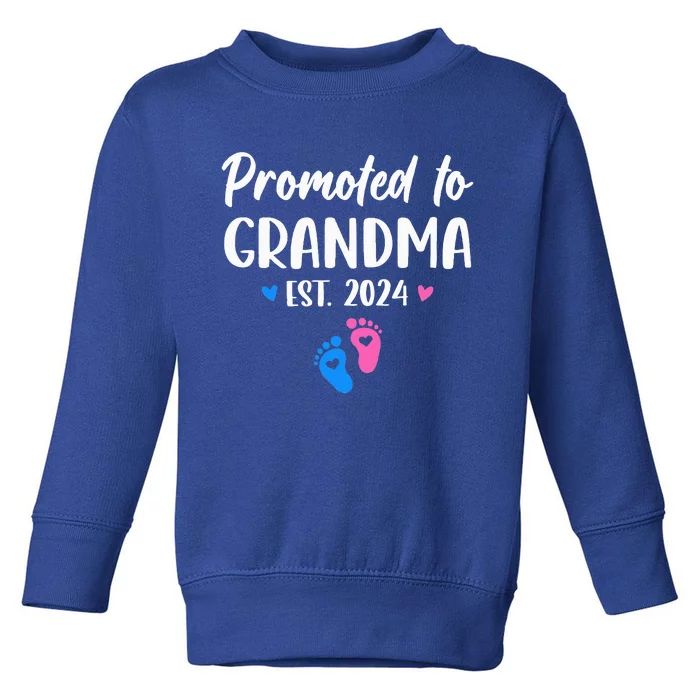 Promoted To Grandma Est 2024 New Grandma Grandmother Toddler Sweatshirt