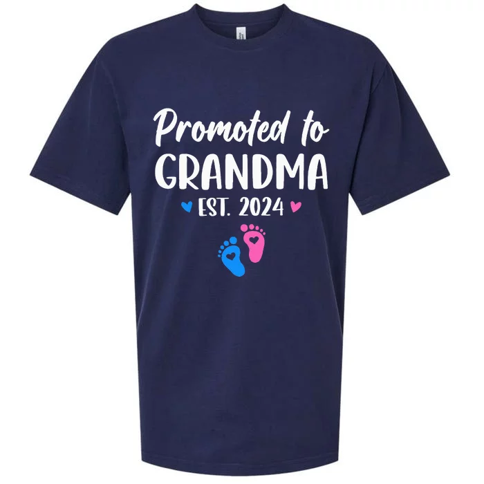 Promoted To Grandma Est 2024 New Grandma Grandmother Sueded Cloud Jersey T-Shirt