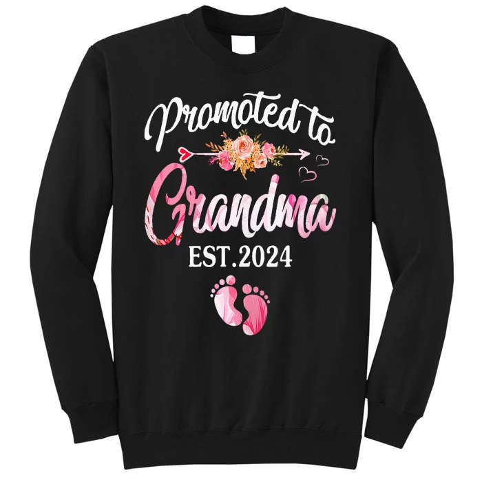 Promoted To Grandma 2024 First Time New Grandma Pregnancy Tall Sweatshirt