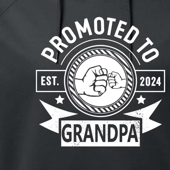 Promoted To Grandpa Est 2024 Soon To Be Grandpa Funny Pregnancy Announcement Performance Fleece Hoodie