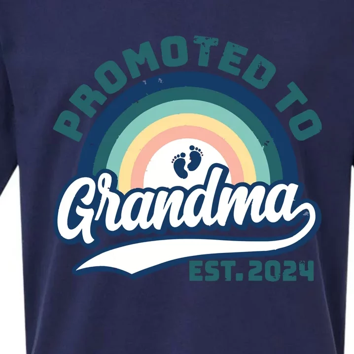 Promoted To Grandma 2024 Soon To Be Grandmother New Grandma Sueded Cloud Jersey T-Shirt