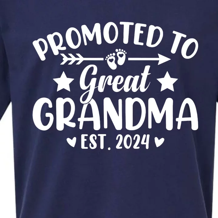 Promoted To Great Grandma 2024 Soon To Be Great Grandmother Sueded Cloud Jersey T-Shirt