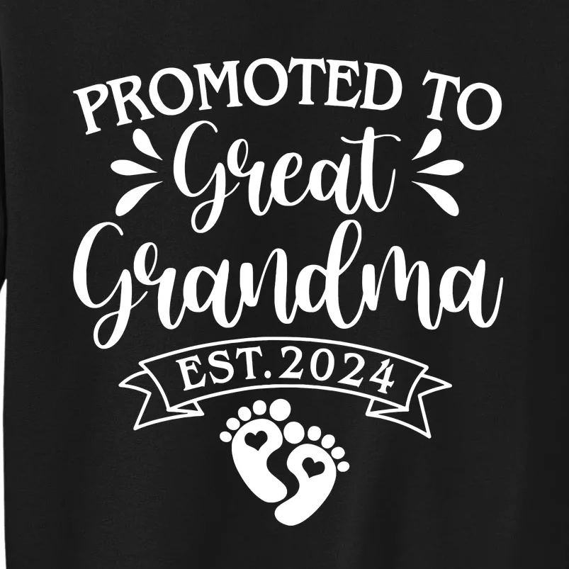 Promoted To Great Grandma Est 2024 Baby Announcement Sweatshirt