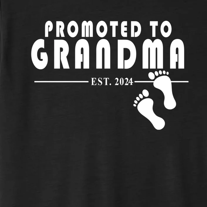 Promoted To Grandma Established 2024 ChromaSoft Performance T-Shirt