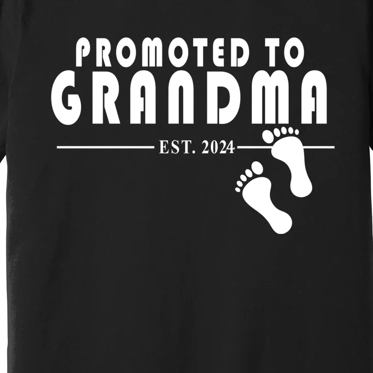 Promoted To Grandma Established 2024 Premium T-Shirt