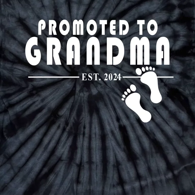 Promoted To Grandma Established 2024 Tie-Dye T-Shirt