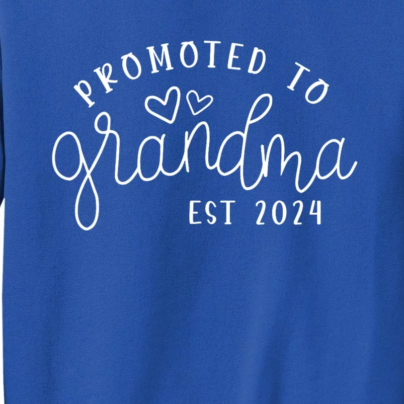 Promoted To Grandma Est 2024 New Grandma Mothers Day Tall Sweatshirt