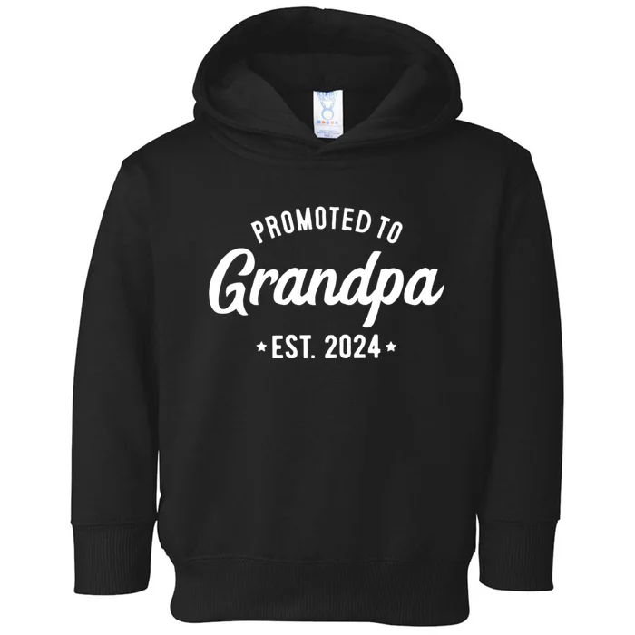 Promoted To Grandpa 2024 Soon To Be Grandfather New Grandpa Toddler Hoodie