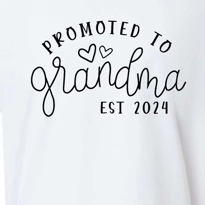 Promoted To Grandma Est 2024 New Grandma Mothers Day Sueded Cloud Jersey T-Shirt